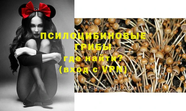 таблы Белокуриха