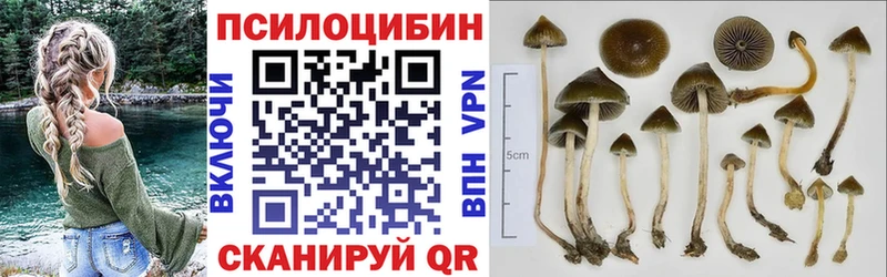 Галлюциногенные грибы Cubensis  Купить где  Железногорск 
